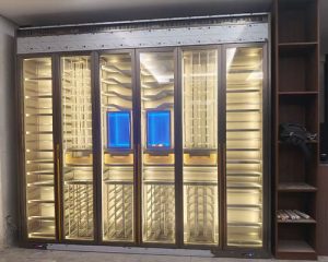 fgghk Temperature-Controlled Wine Cabinet